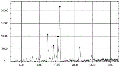 Preparation and application of Raman enhancer