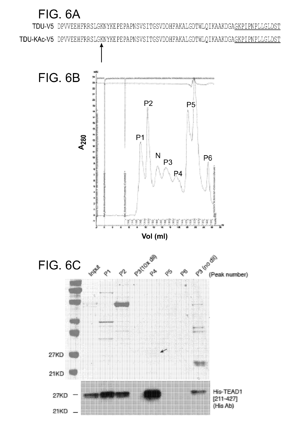 Compositions and methods for cardiac repair