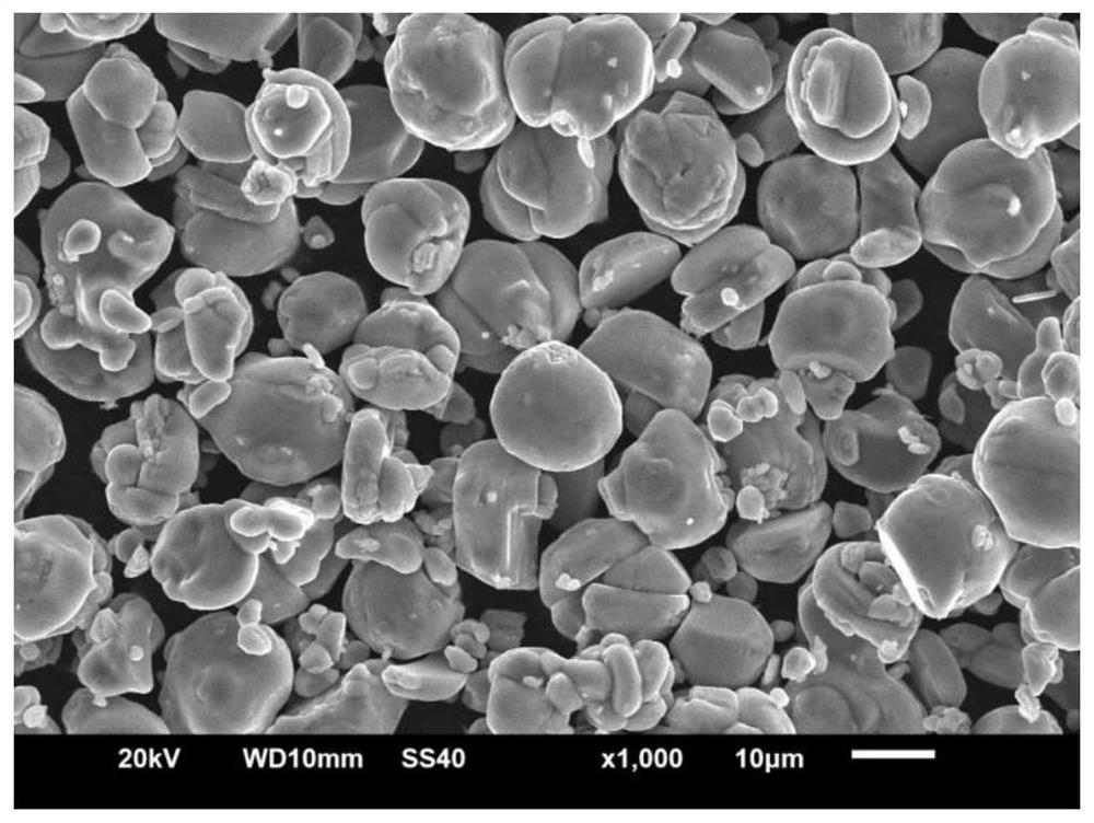 Lithium cobalt oxide positive electrode material and preparation method thereof