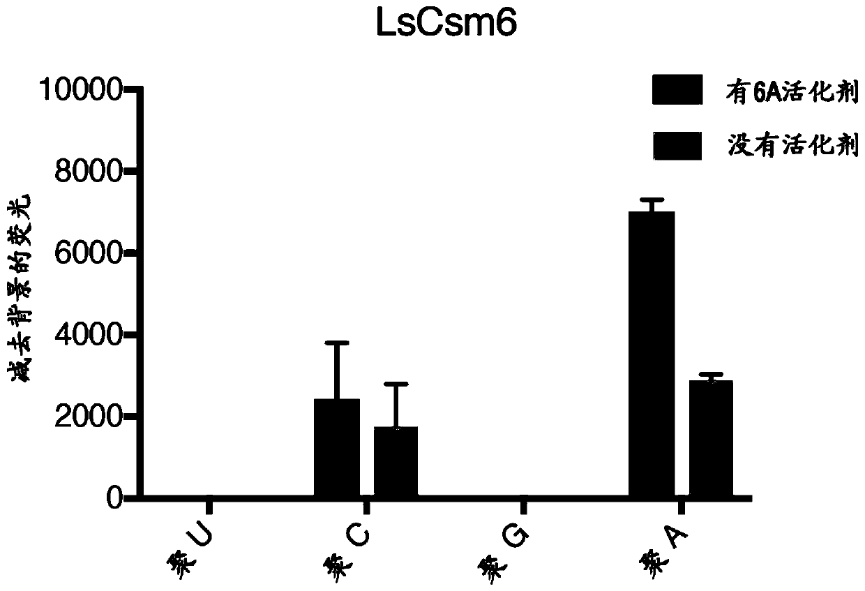 Multi-effector crispr based diagnostic systems