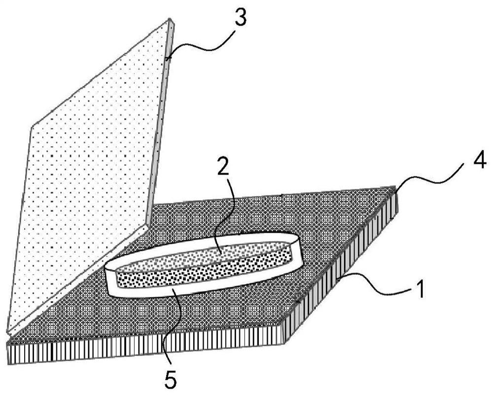 Transdermal patch for delivering cannabis sativa active substances