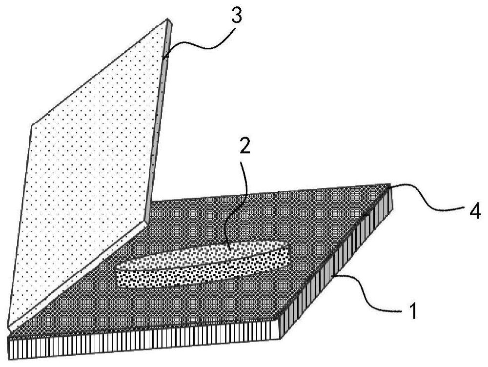 Transdermal patch for delivering cannabis sativa active substances