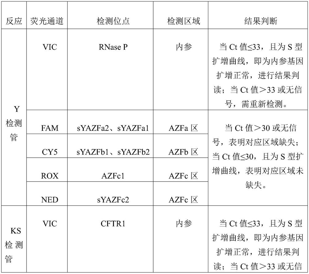 Azoospermia chromosome variation detection kit