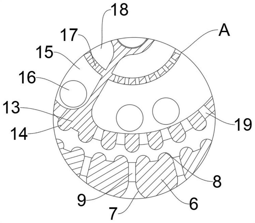 Soybean husking and screening processing device