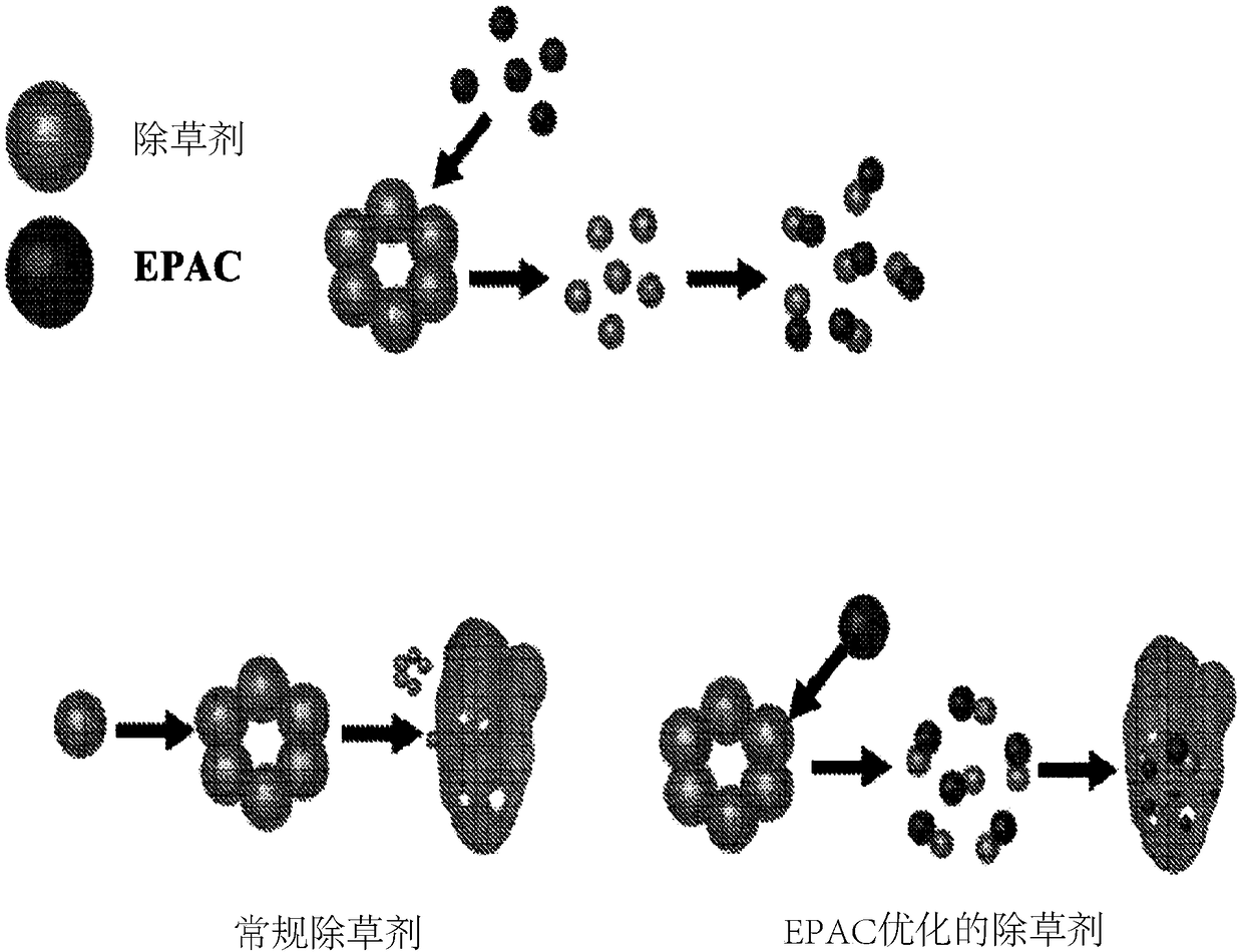 Enhancer compositions for agricultural chemicals and agricultural chemical compositions