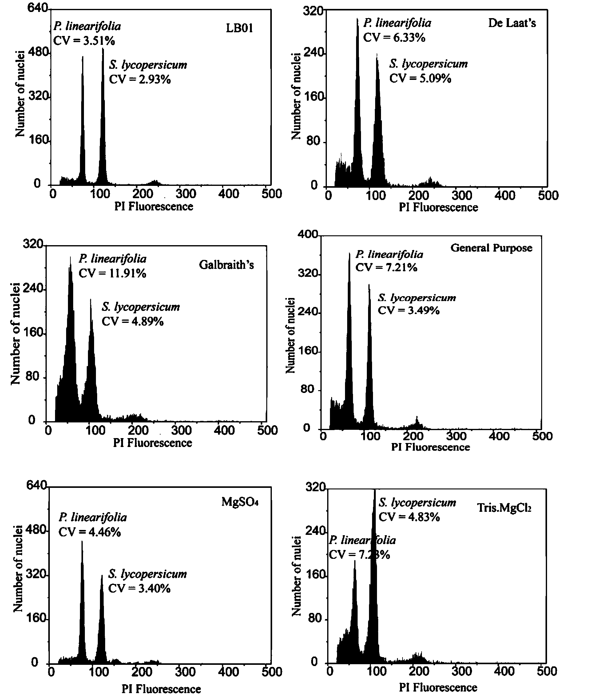 Method for measuring size of genome of gesneriaceae plant