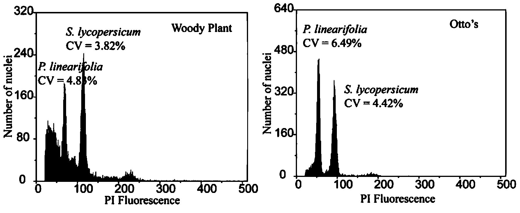 Method for measuring size of genome of gesneriaceae plant