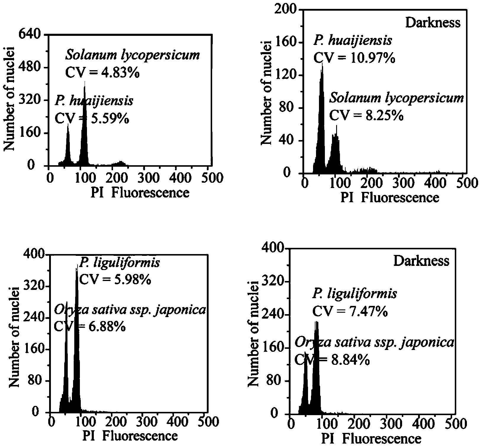 Method for measuring size of genome of gesneriaceae plant