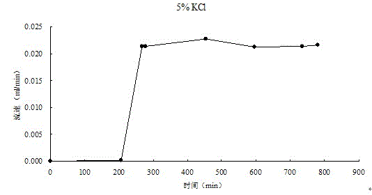 Simulating experiment method of rock natural seepage ability