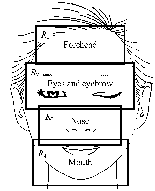 Facial paralysis grade evaluation system based on depth video data analysis