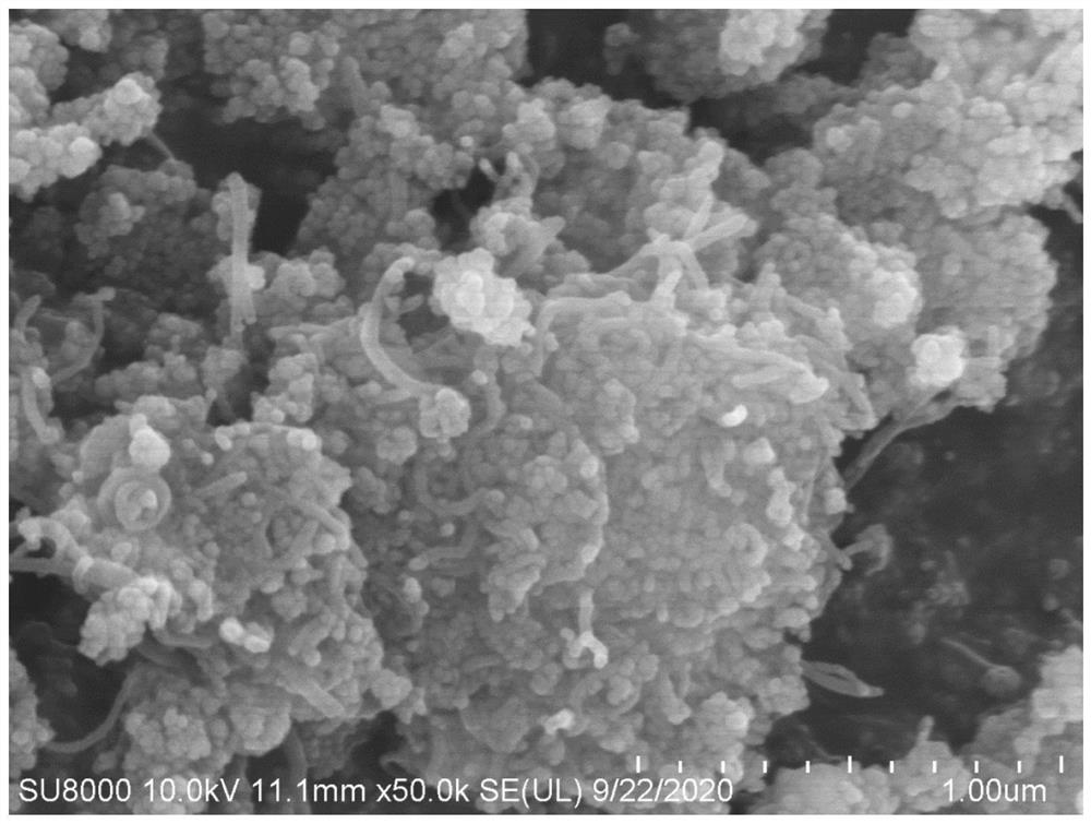 Polystyrene-divinyl benzene modified magnetic carbon nanotube composite material and application thereof