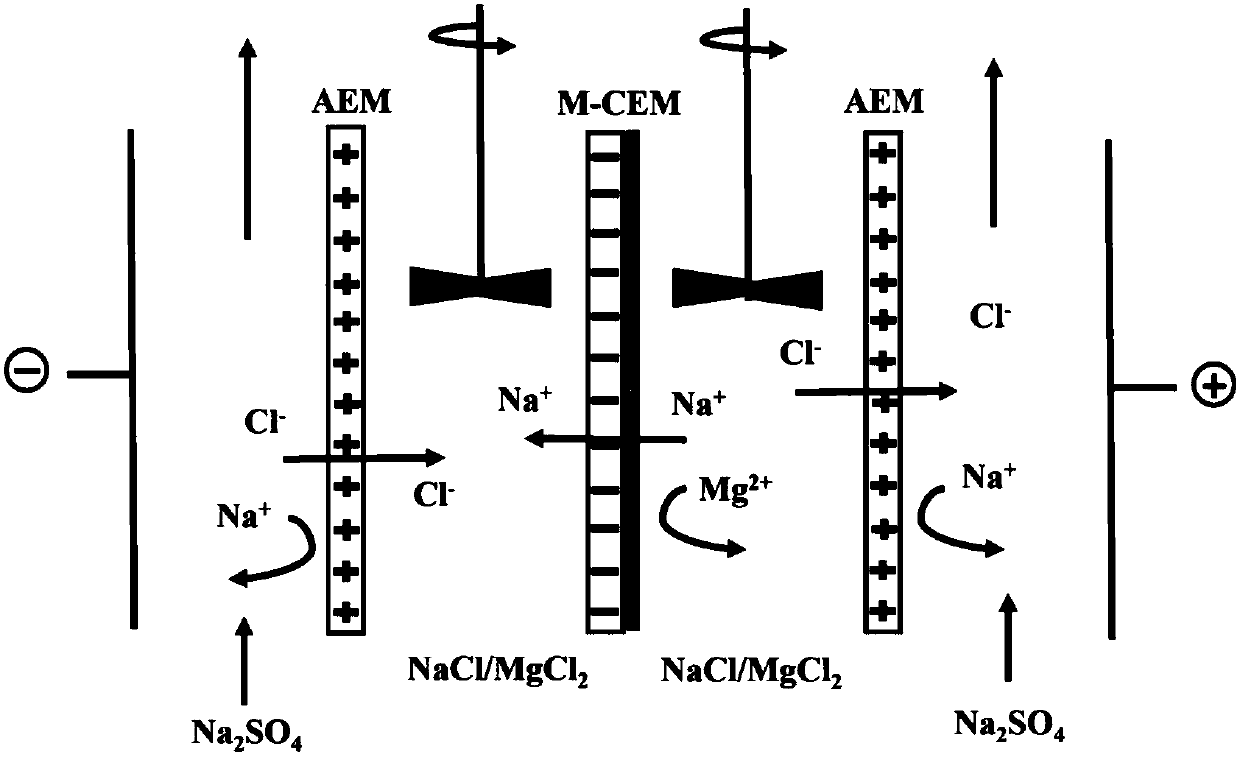 Method for preparing polypyrrole monovalent selective cation exchange membrane in situ