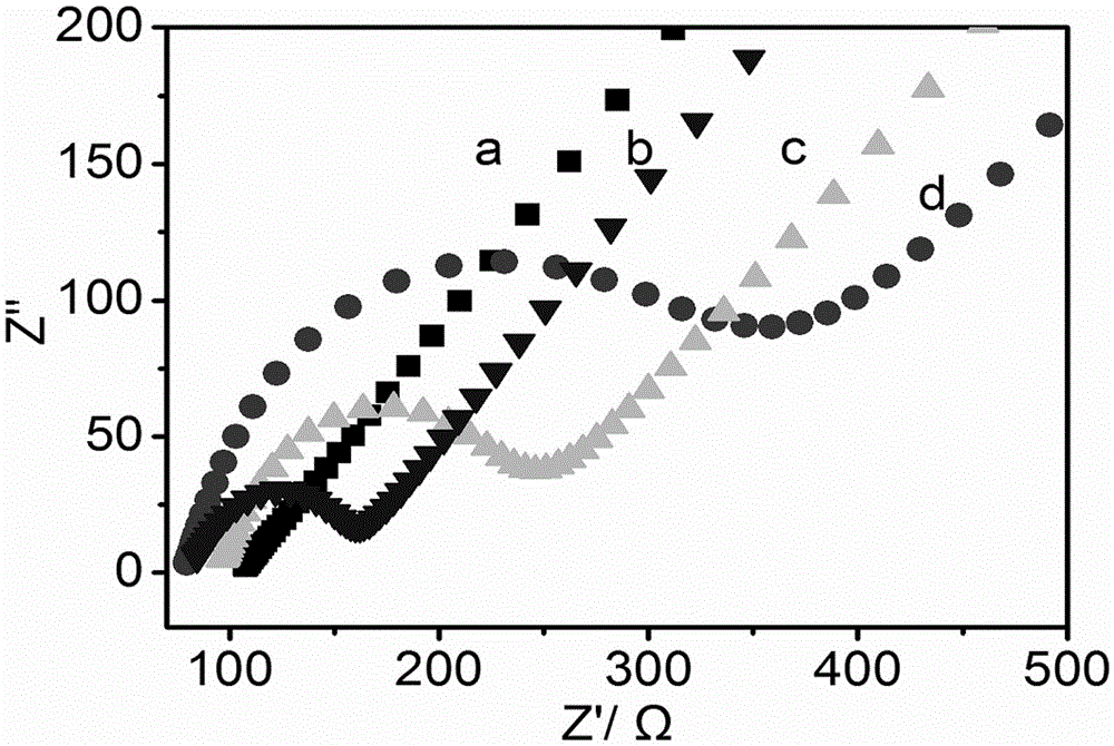 Preparation method of electrochemical glucose biosensor and detection method for testing glucose