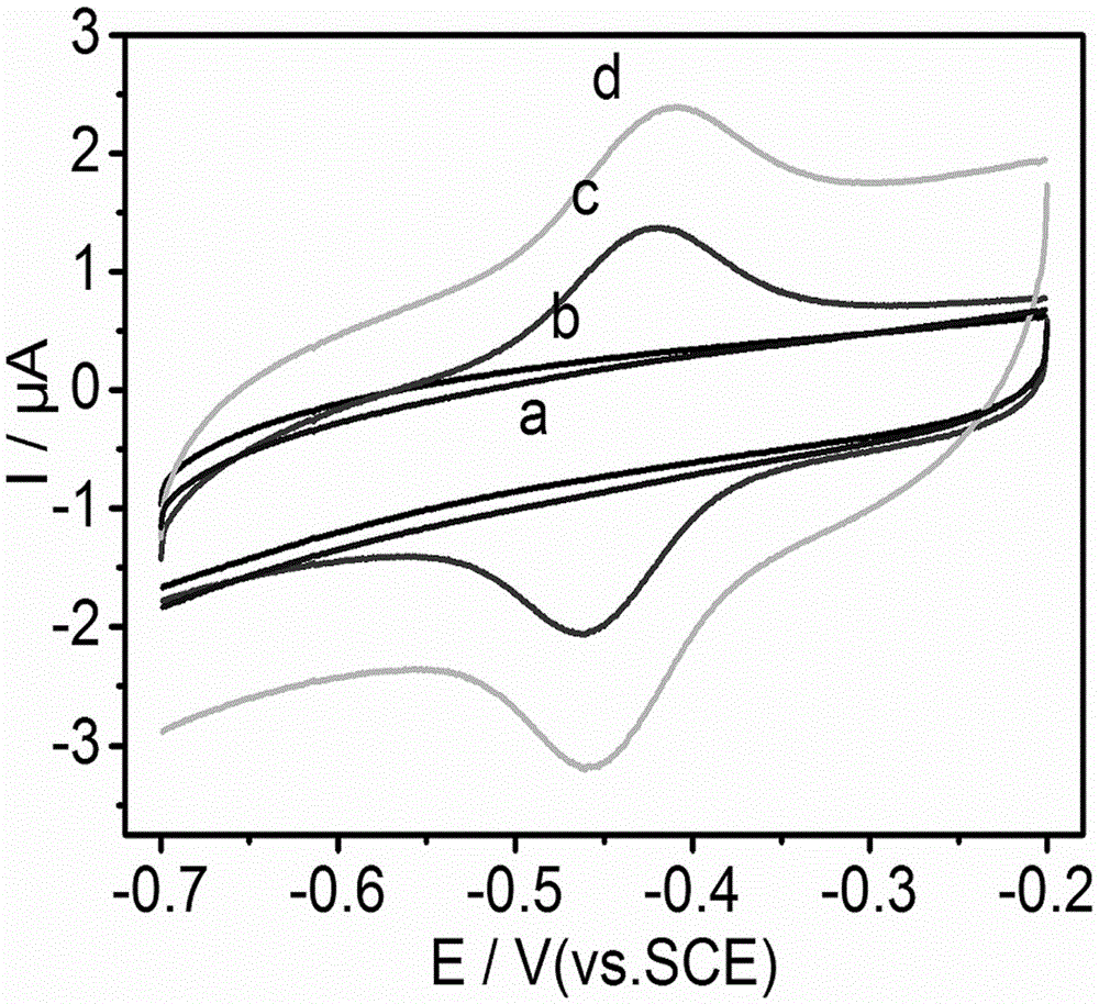 Preparation method of electrochemical glucose biosensor and detection method for testing glucose