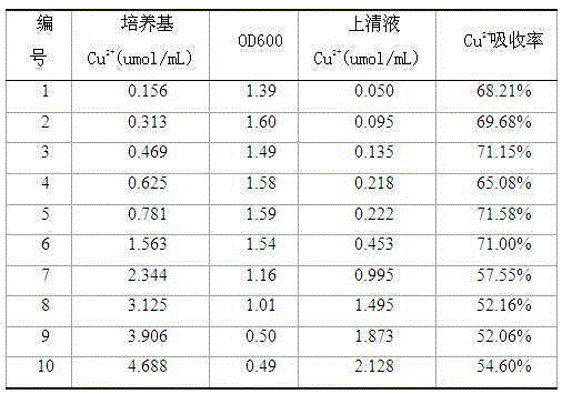 Inoculating culture and detecting method for gathering copper ions through saccharomycete