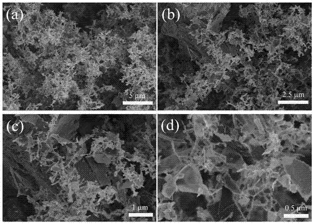 Method of preparing porous graphene film by using electrostatic spray process