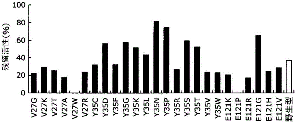 Fc-binding protein, method for producing said protein, and antibody adsorbent using said protein, and methods for purifying and identifying antibody using said adsorbent