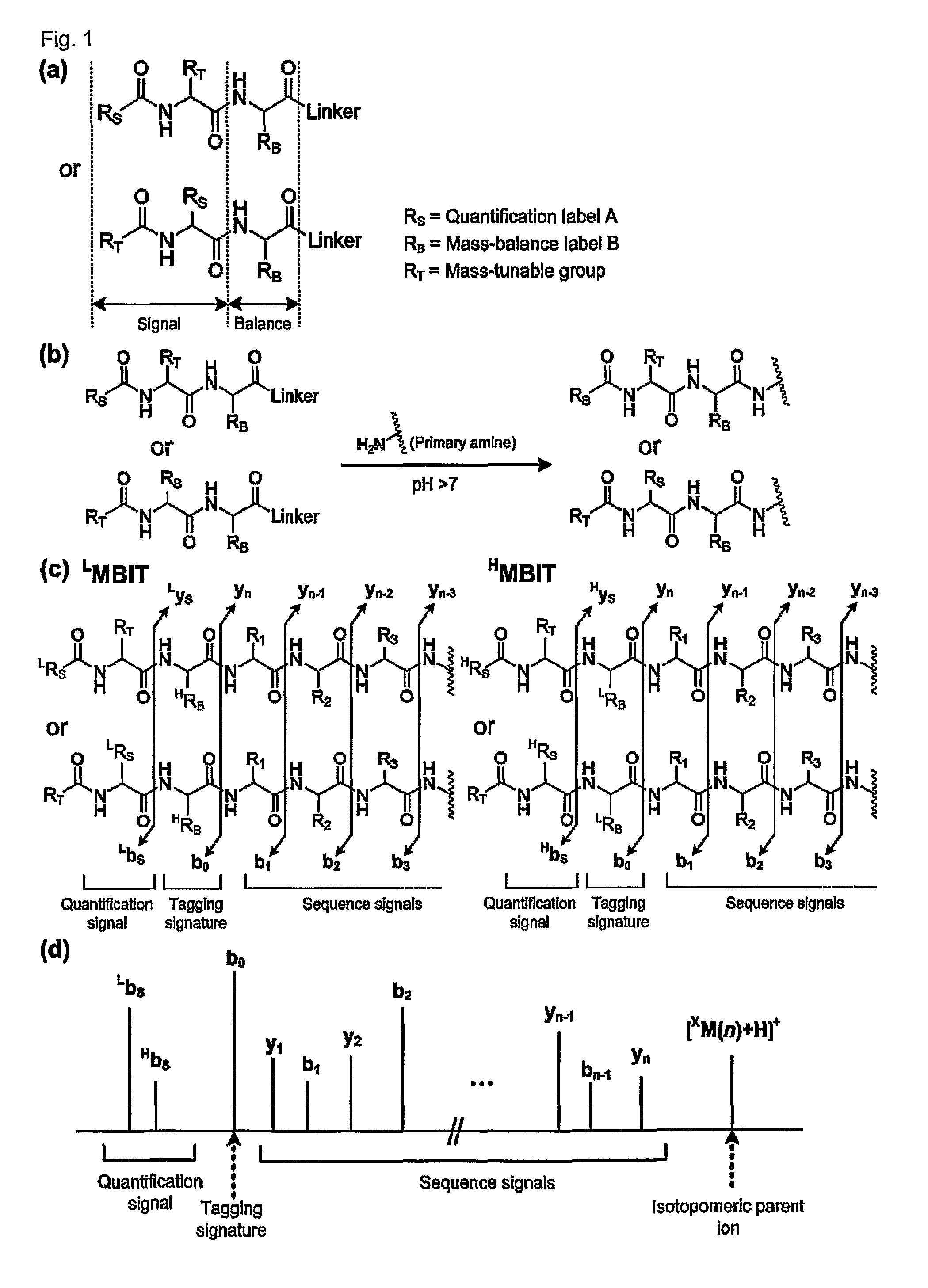 Mass- and property-tuned variable mass labeling reagents and analytical methods for simultaneous peptide sequencing and multiplexed protein quantification using thereof