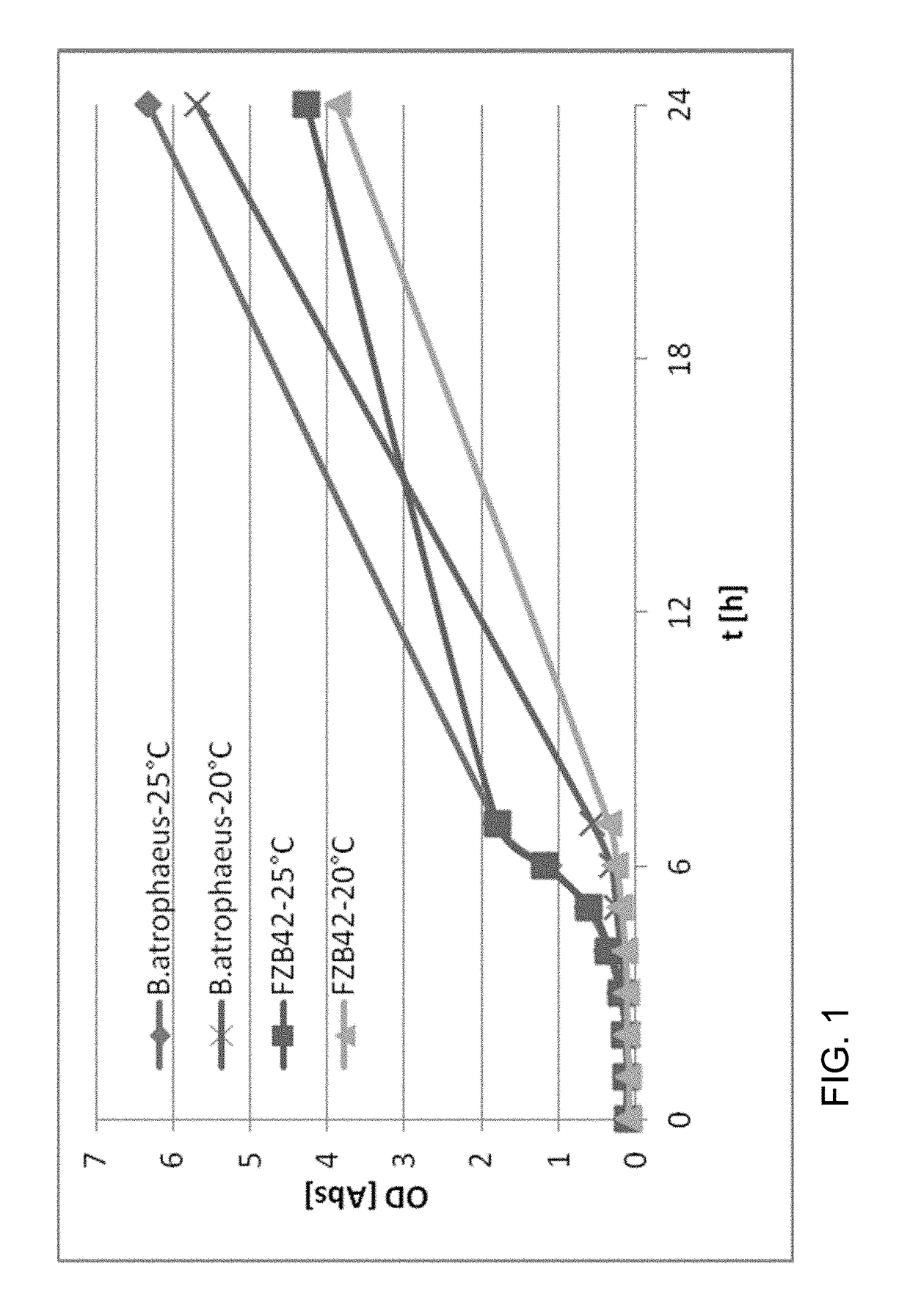 Selection and use of cold-tolerant bacillus strains as biological phytostimulators