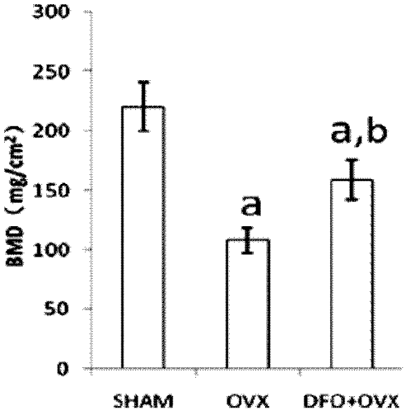 Application of deferoxamine mesylate in preparing medicaments for treating postmenopausal osteoporosis