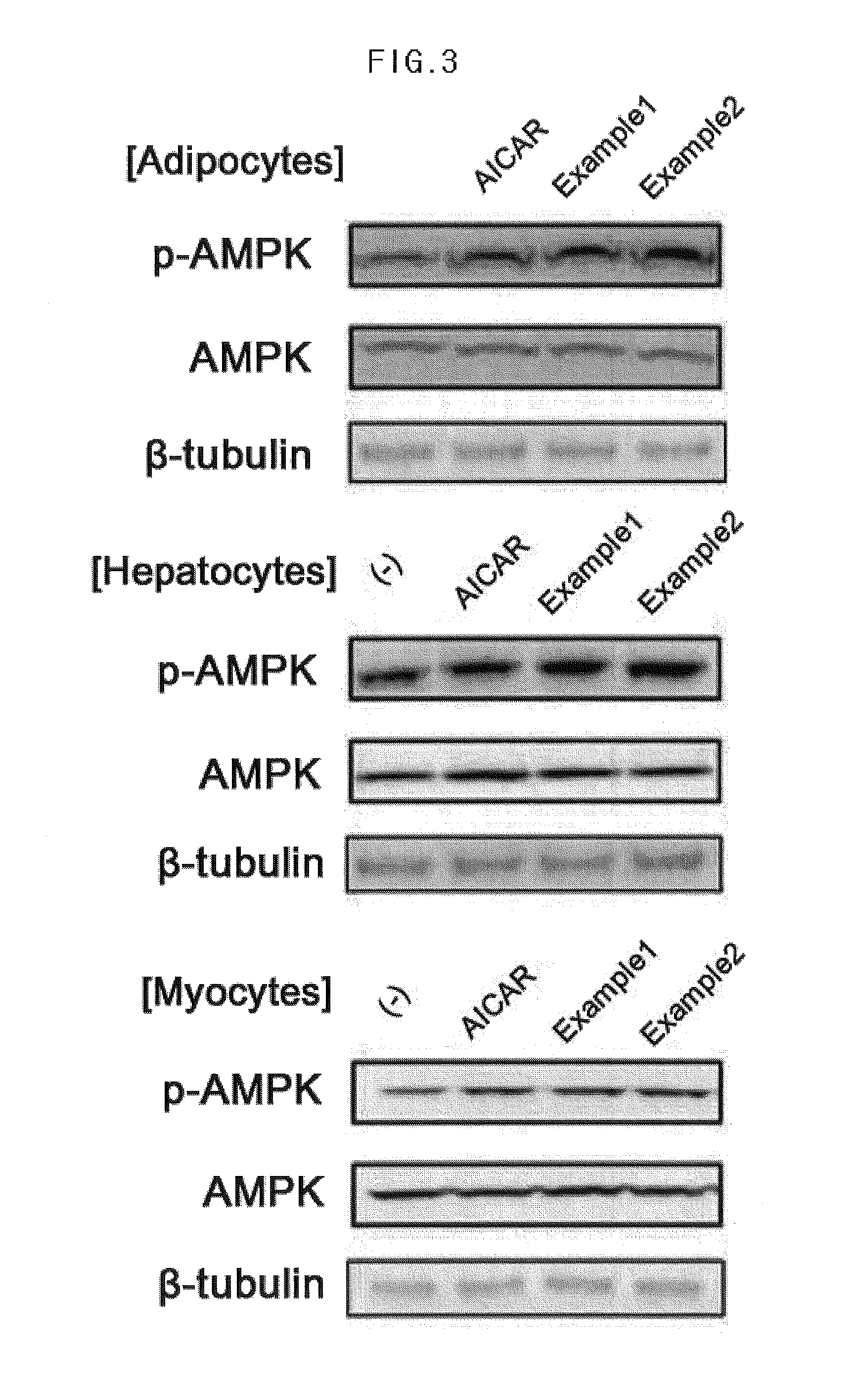 Composition for preventing or improving metabolic syndrome comprising tea plant leaf, flower and seed extract