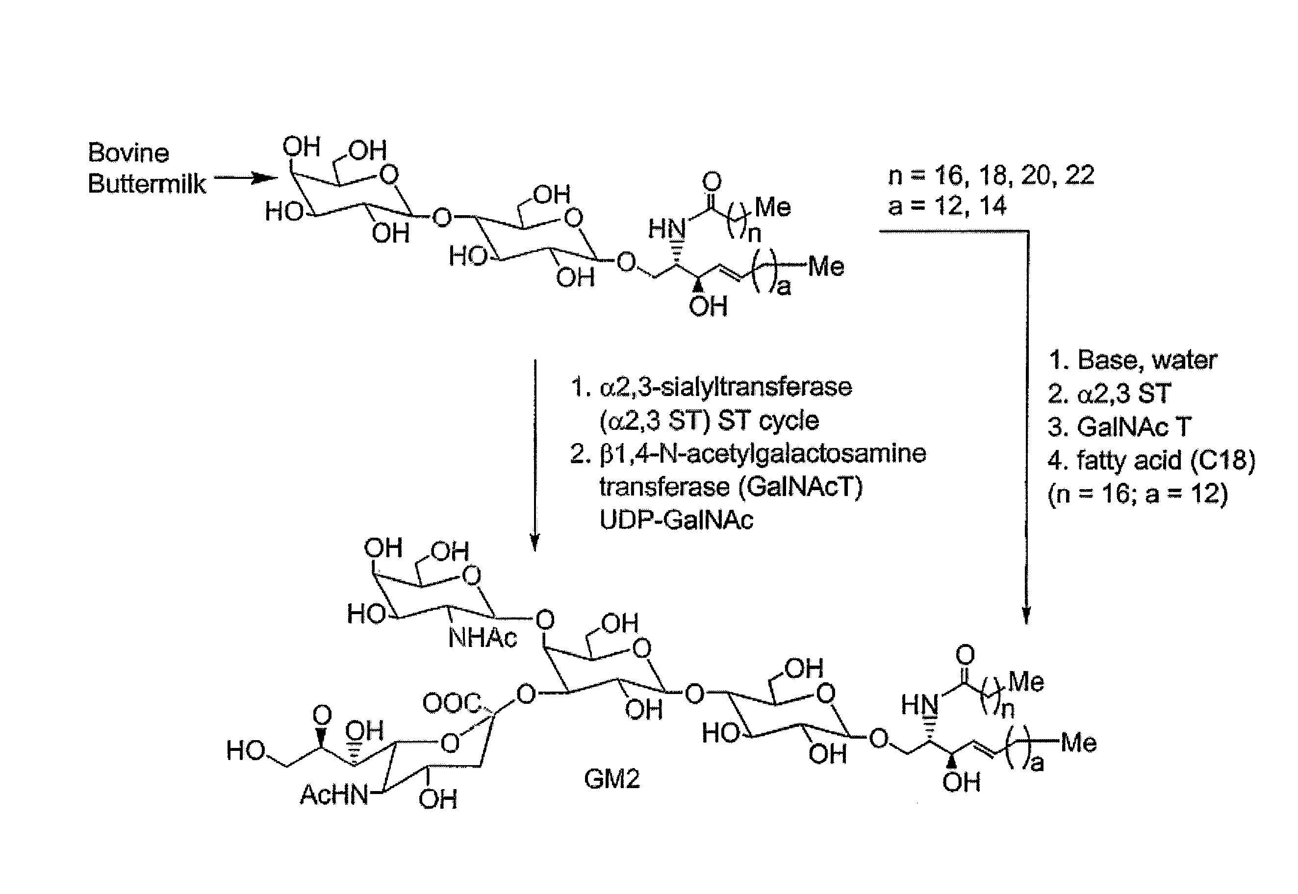 Glycolipids as treatment for disease