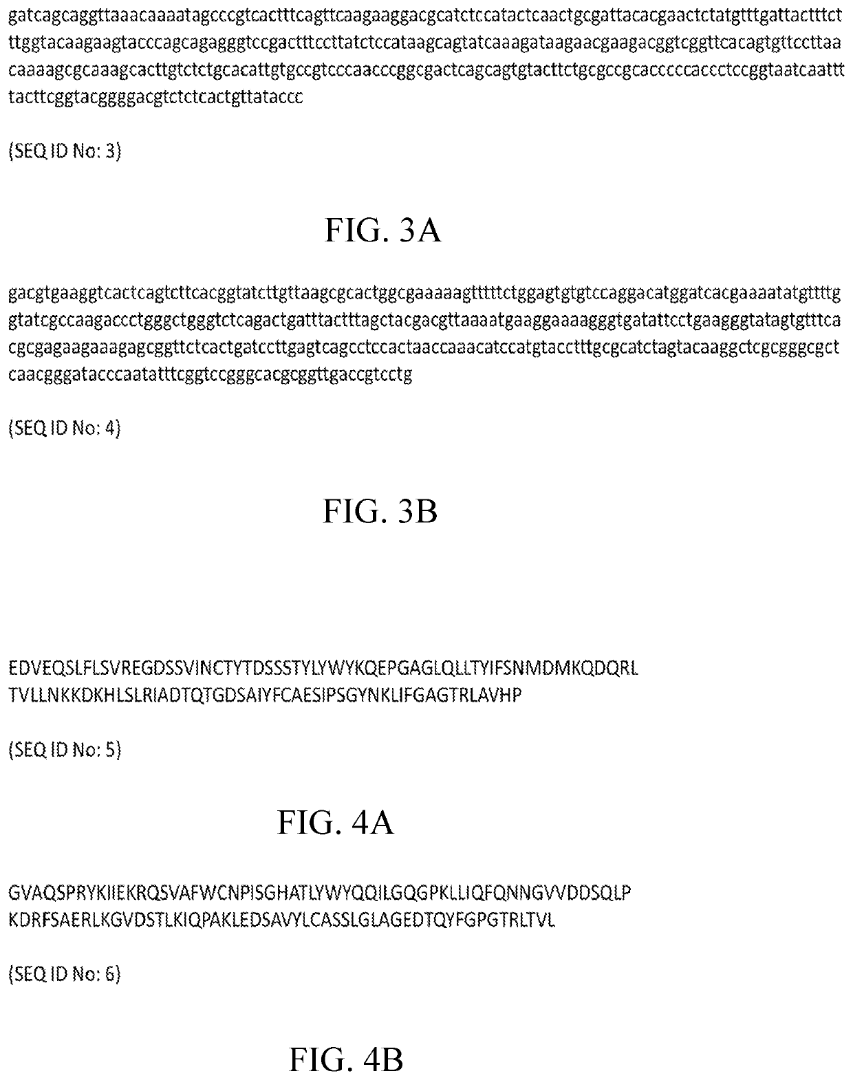 Combinational tcr-t cell therapy targeting tumor antigens, tgf-beta, and immune checkpoints