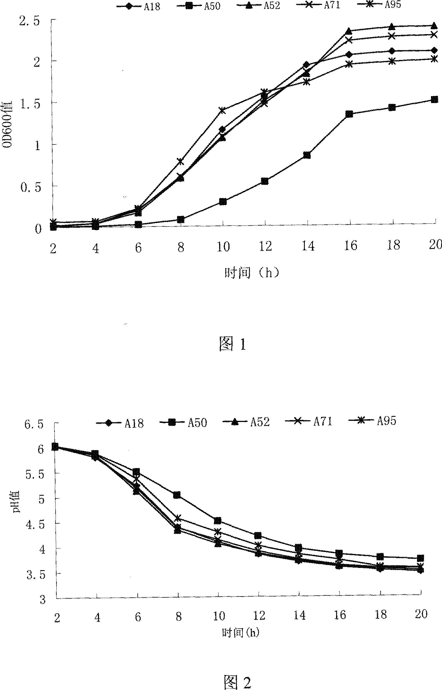 Application of plants lactobacillus in fresh-keeping of freezing meat