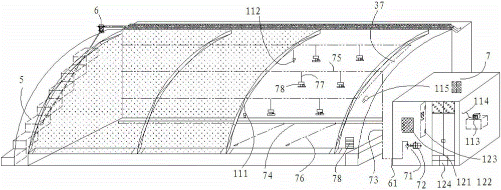 Three-dimensional cultivation method of papaya and pineapple