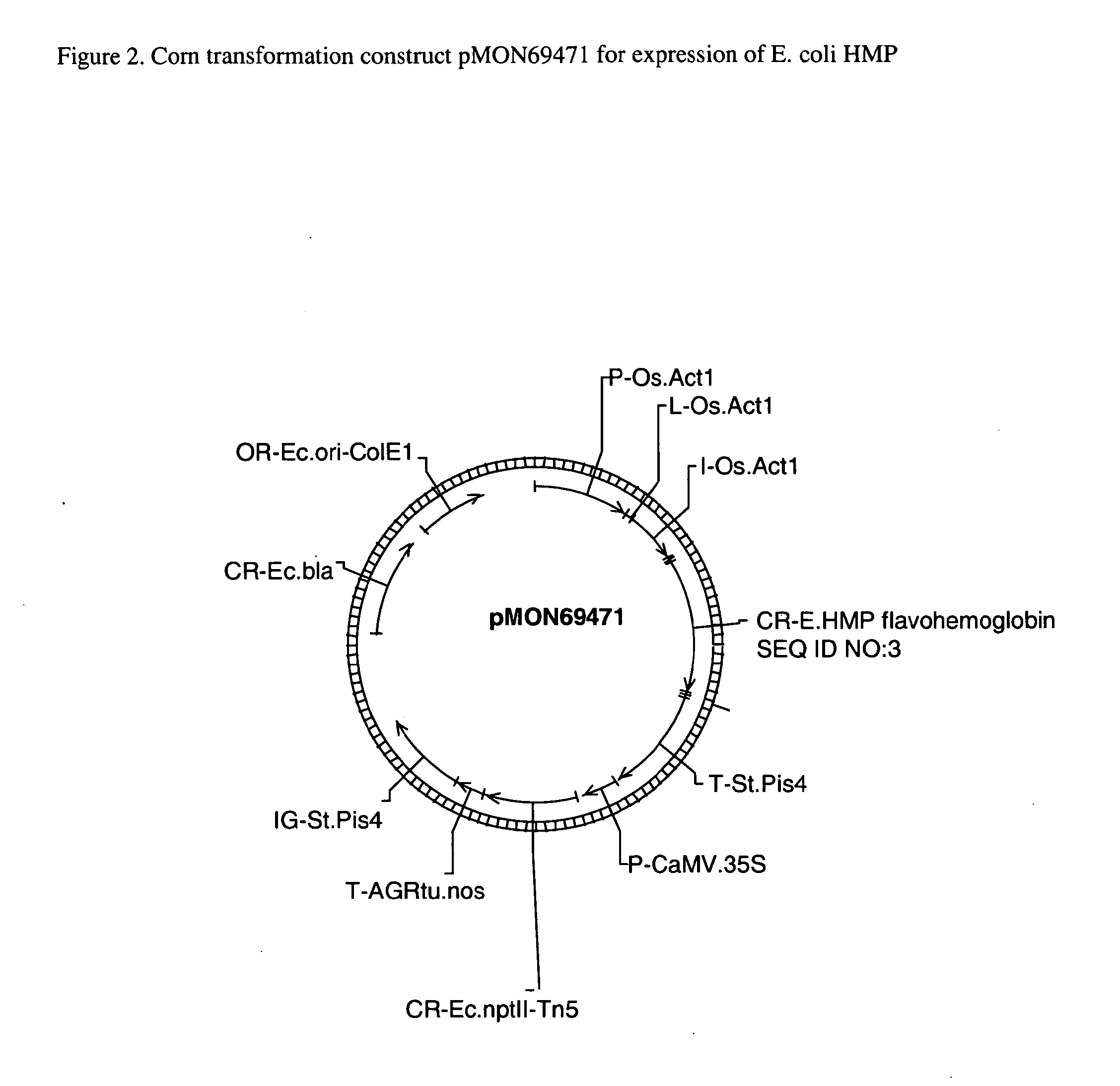 Plants containing a heterologous flavohemoglobin gene and methods of use thereof