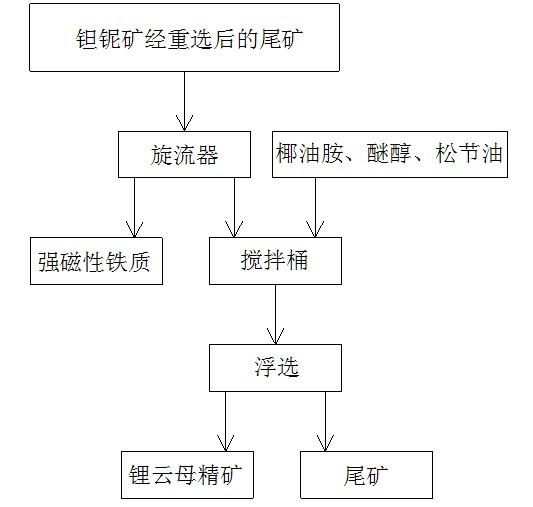 A kind of flotation lepidolite process method