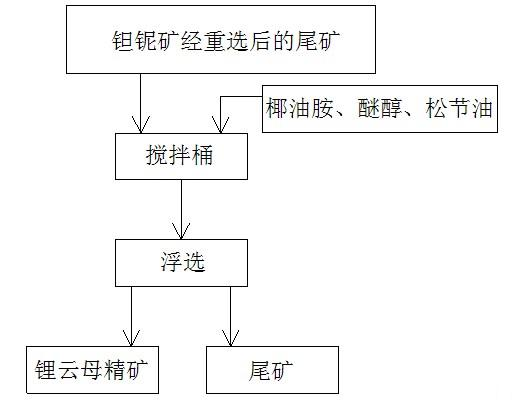 A kind of flotation lepidolite process method