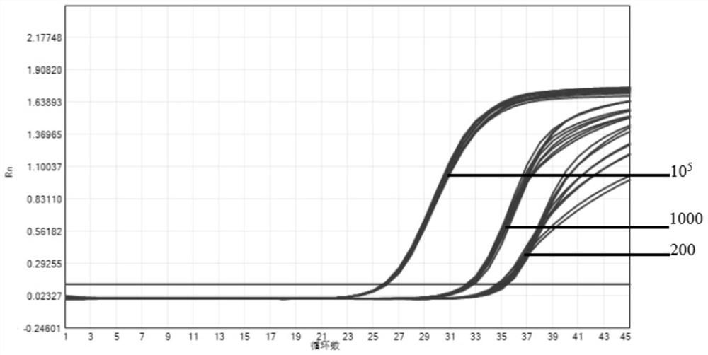 Novel coronavirus fluorescent PCR (Polymerase Chain Reaction) detection kit and use method thereof