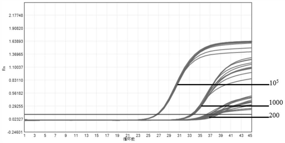 Novel coronavirus fluorescent PCR (Polymerase Chain Reaction) detection kit and use method thereof