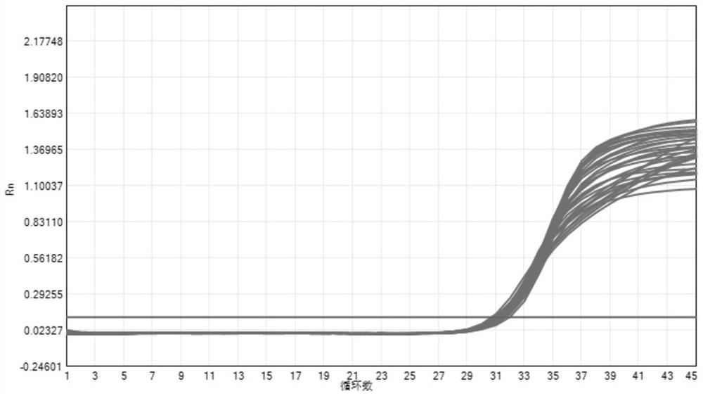 Novel coronavirus fluorescent PCR (Polymerase Chain Reaction) detection kit and use method thereof