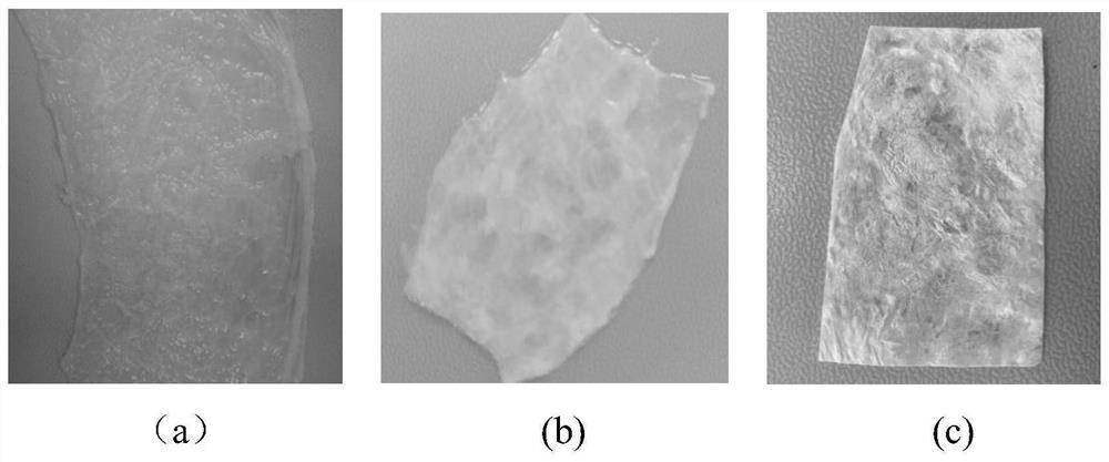 Slow-release antibacterial acellular matrix biological material and preparation method thereof