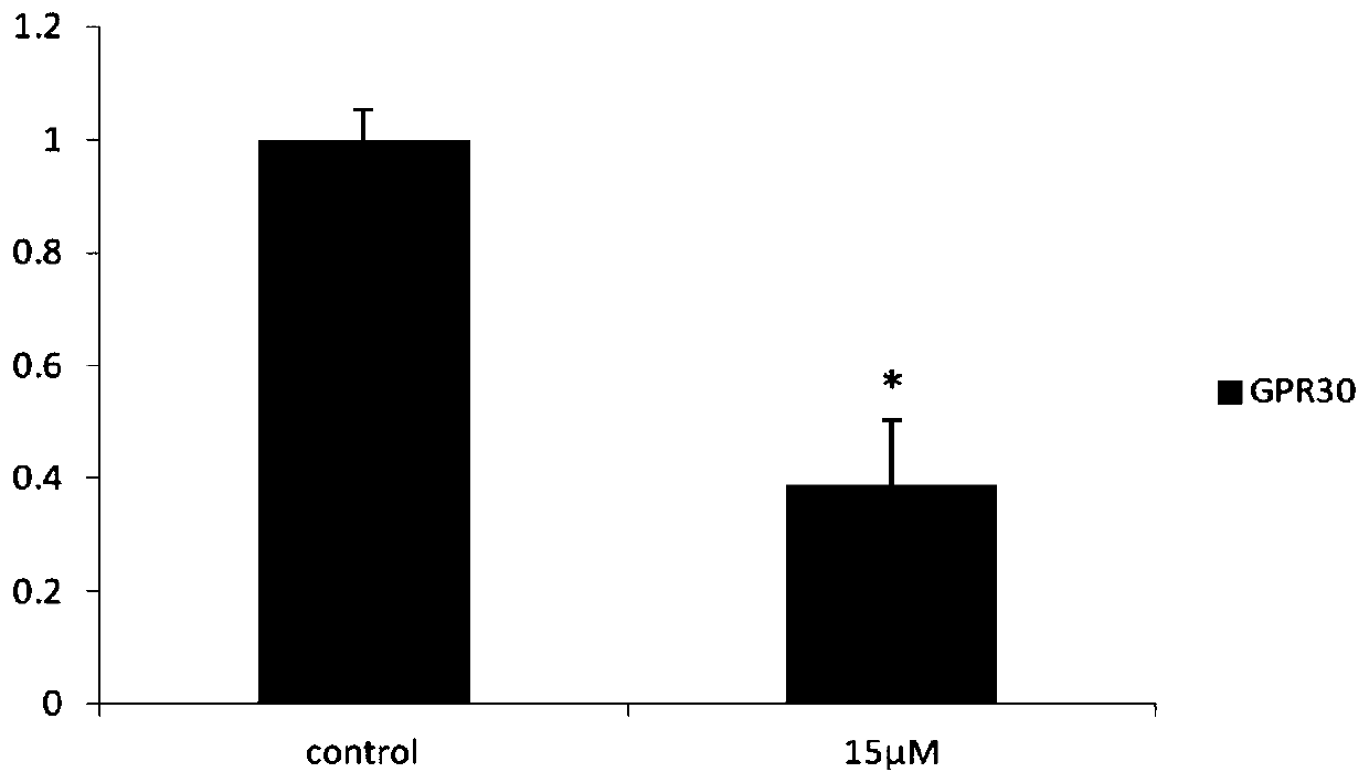 Application of Calycosin Derivatives in Preparation of Drugs for Treating ER-Negative Breast Cancer