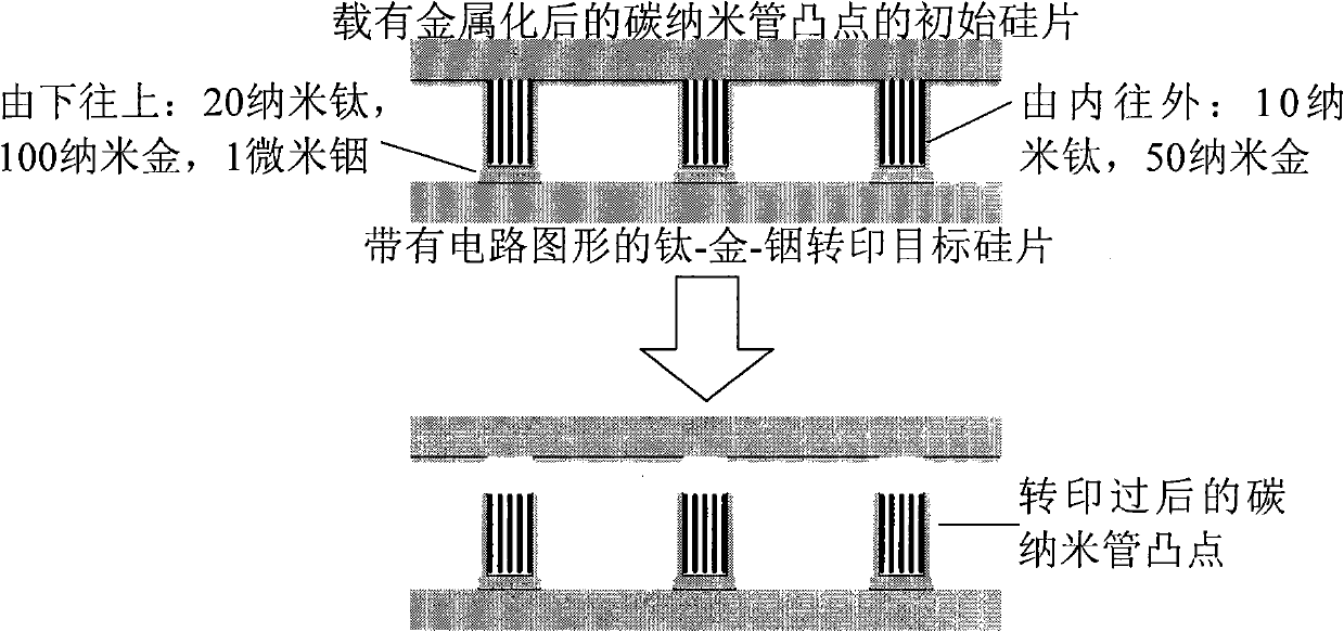 Low-temperature transfer printing method used for microelectronically packaged carbon nanotube bumps