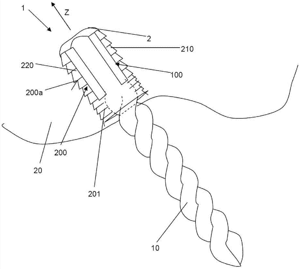 Device for fixation of a flexible element, particularly a natural or synthetical ligament or tendon, to a bone