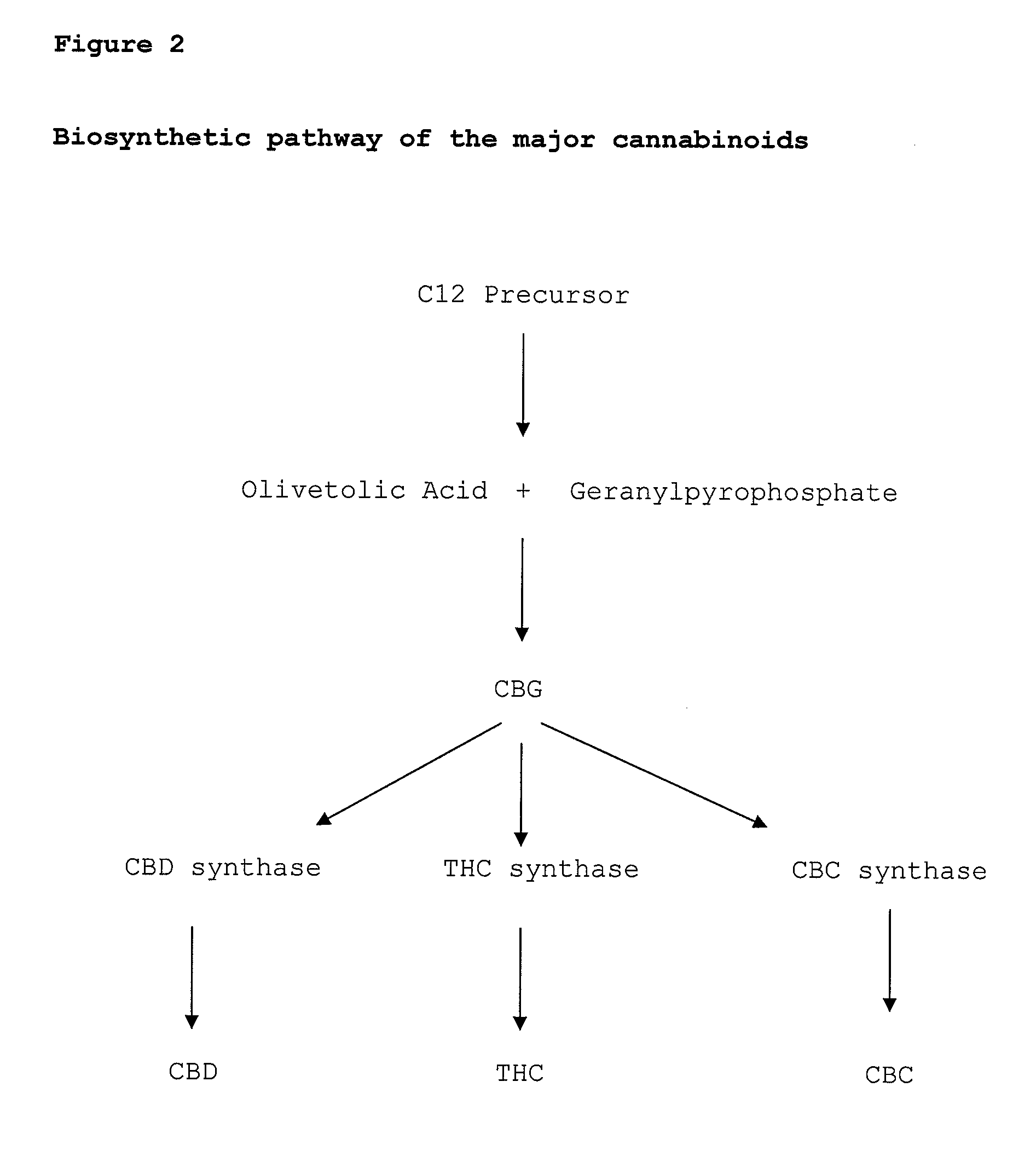 Pharmaceutical compositions comprising cannabigerol