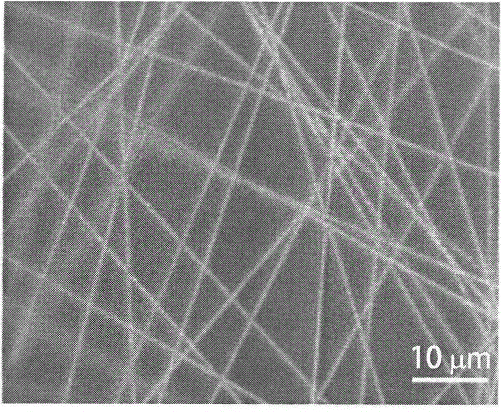 A kind of preparation method of transparent conductive metal network