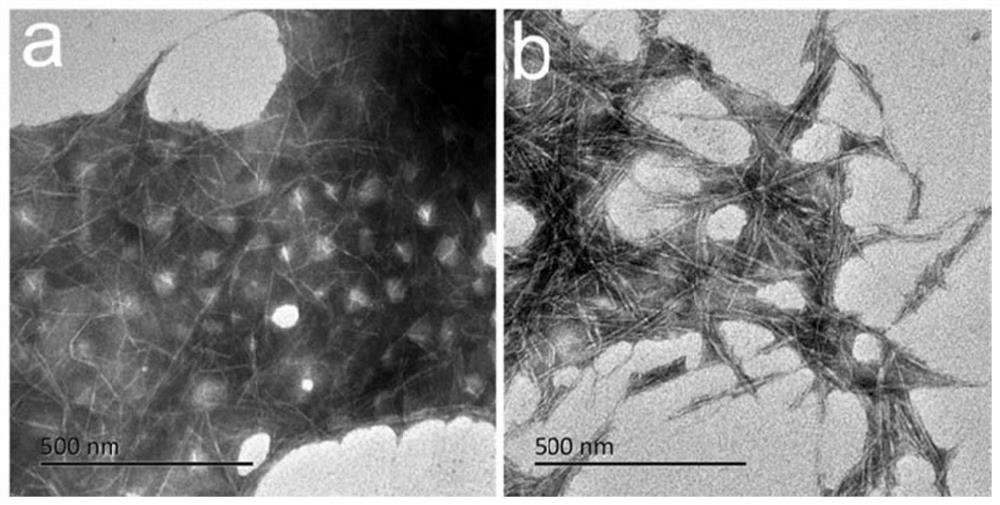 Nanocellulose-stabilized Pickering emulsion type drilling fluid and preparation method thereof