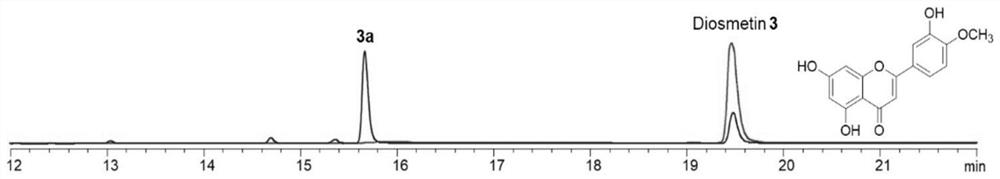 Application of diosmetin(4-O-methyl) glucoside compound in preparation of lipid-lowering drugs