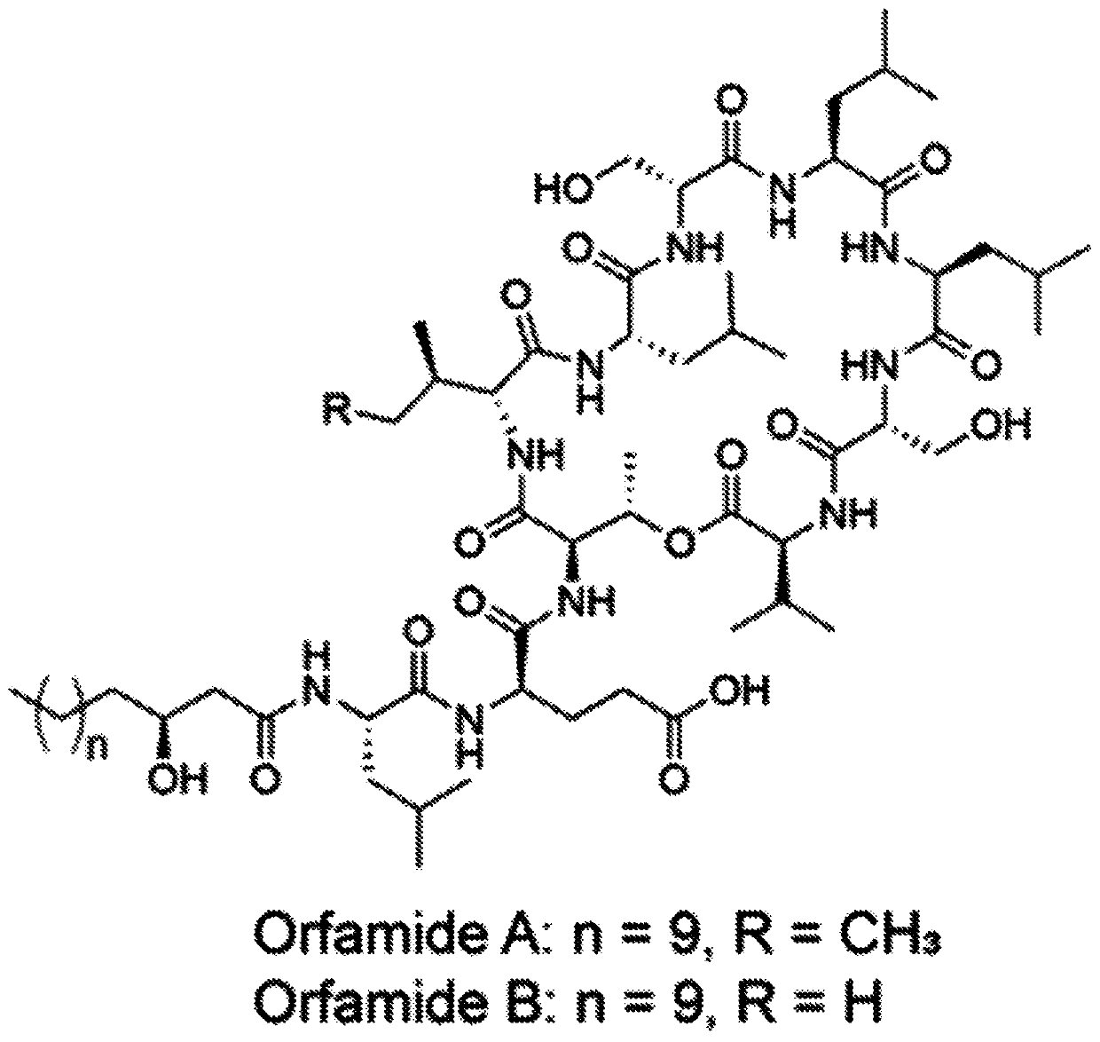 Cryptic metabolites and method for activating silent biosynthetic gene clusters in diverse microorganisms