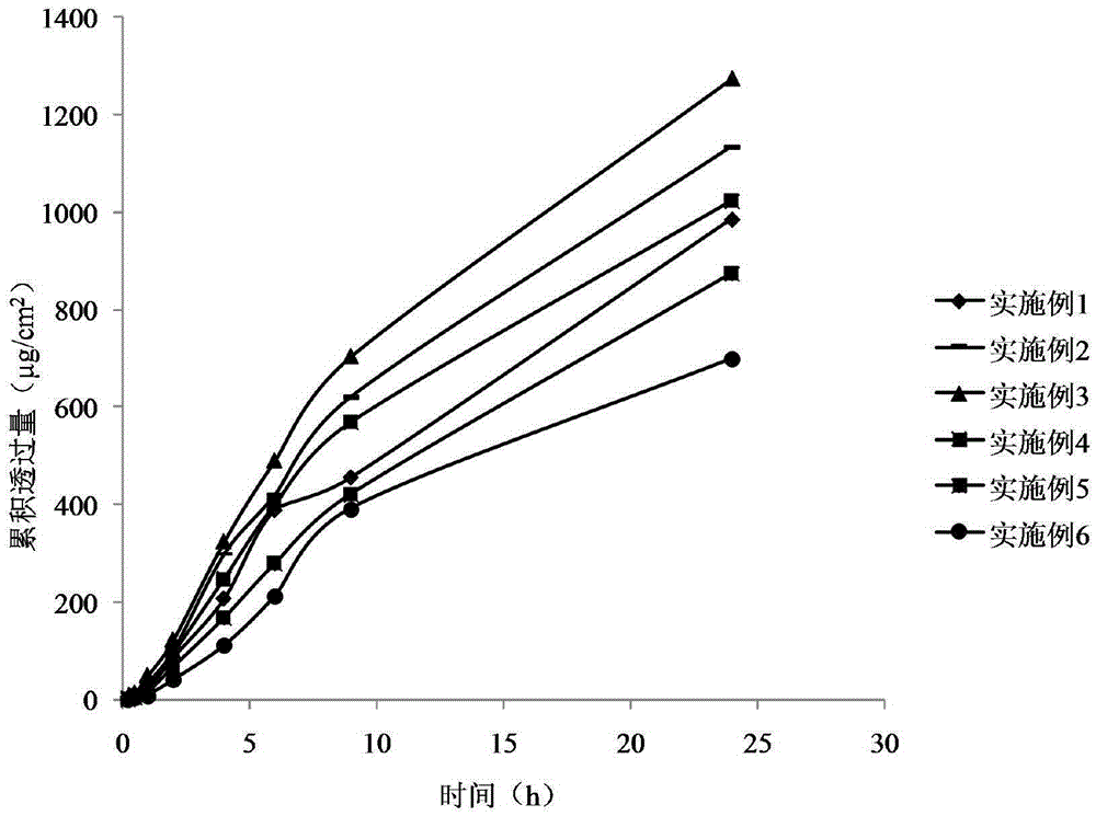 Dexmethylphenidate skeleton pattern transdermal patch containing vitiligo inhibitor and preparing method and application thereof