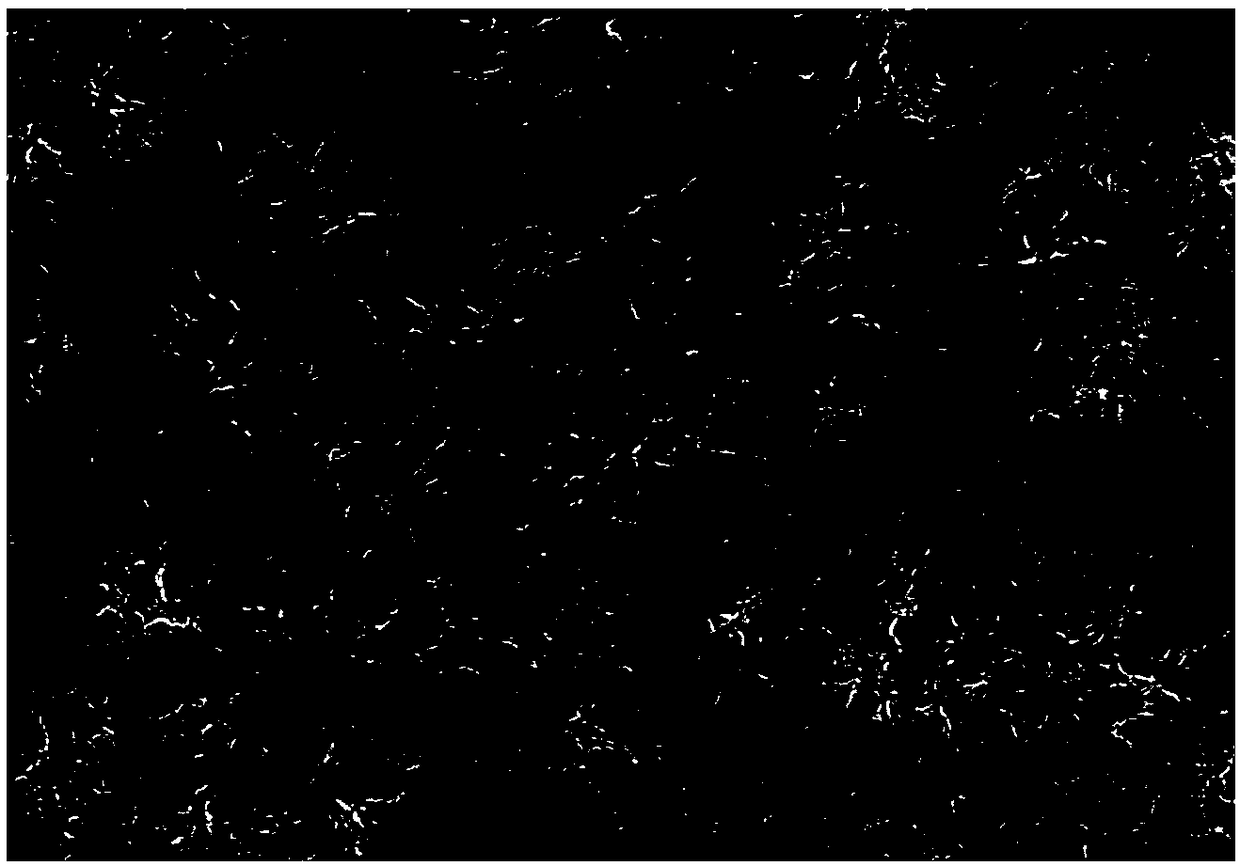 Electrified repair film material controllable in surface potential and preparation method thereof