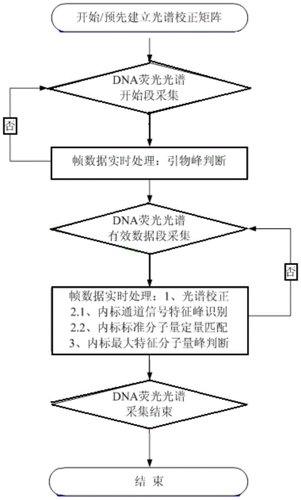 A DNA fluorescence spectrum acquisition method based on quantitative analysis of characteristic molecular weight internal standard