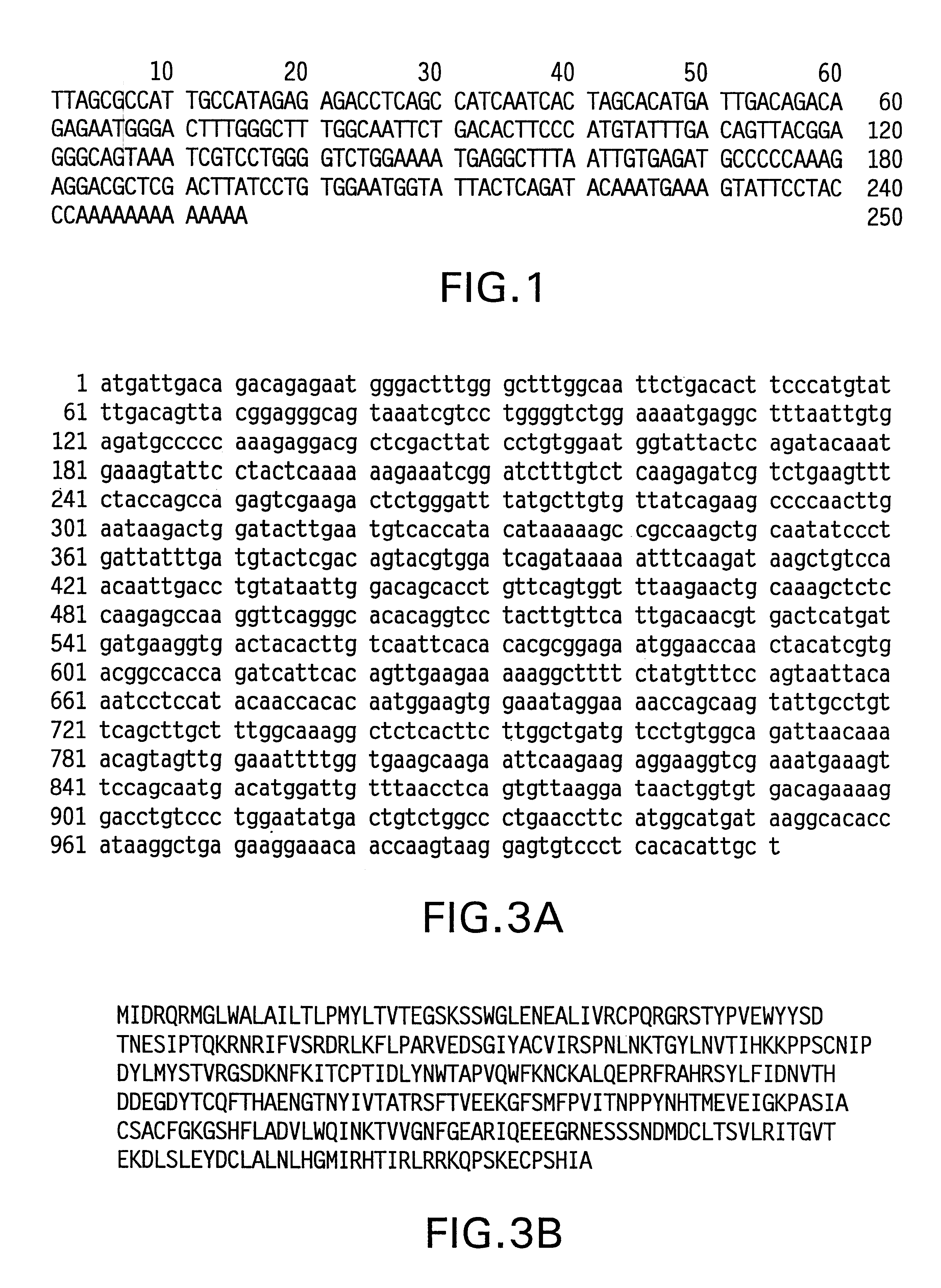 Nucleic acid molecules encoding a 103 gene product and uses therefor