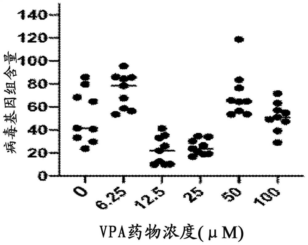 Application of sodium valproate in preparation of drug for treating human coronavirus infected pneumonia