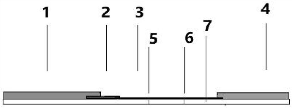 African swine fever virus antibody rapid detection test strip and preparation method and application thereof